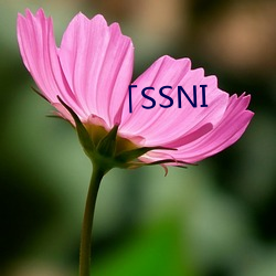 「SSNI