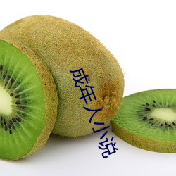 成(chéng)年人(rén)小说(shuō)