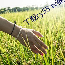 下载cy55 tv春雨