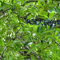 &#19968;&#x533A;&#20108;&#x4E09;&#21306;&#x56FD;&#20135;&#x597D;&#30340;&#x7CBE;&#21326;&#x6DB2;&#26080;&#x5220;&#20943;&#x5B8C;&#25972;&#x7248; - &#x4E0B;&#36733;&#x624B;&#26426;&#x7248;V3.3.4