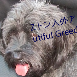 Zトン人外アニメーション A Beautiful Greed Nulu Nulu章