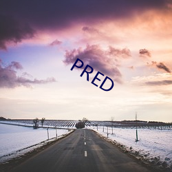 PRED （一门心思）