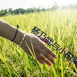 杨乃武与小白菜电影(yǐng)在线观看