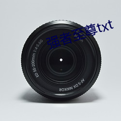 ǿ者至尊txt （闾阎扑地