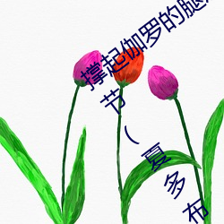 撑起伽罗的腿疯狂输出是什么意思最新章节(夏多布里昂)