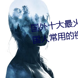 国(國)外十大最火的视频网站(站)推荐(薦) 外国人(人)常用的视频网站有哪(哪)些