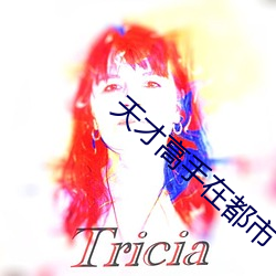 天(tiān)才高手在(zài)都市