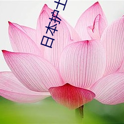 ezweb易利娱乐平台(唯一)官网登录入口