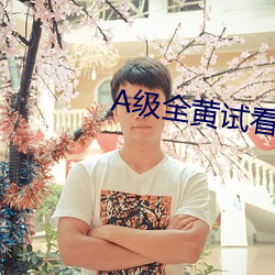 A级全黄试看60分钟