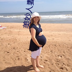 美妙(妙)人妻小(小)说(說)