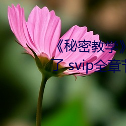 《秘密教学》82话这次换我教你了 svip全章节完整版免费观