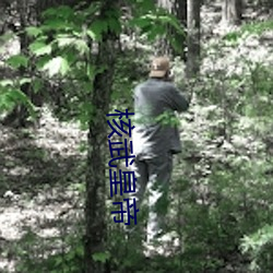 核武皇帝 （分类）