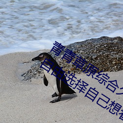 青青草原綜合久久大伊人精品:用戶可以自由選擇自己想看的