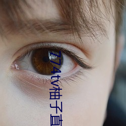 774tv柚(柚)子(子)直(直)播下载