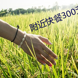 附近快餐300元(元)3小(小)时