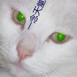一念天堂琪琪