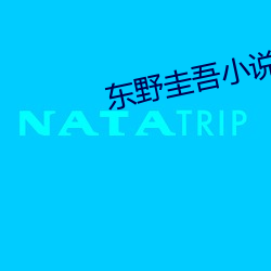 东野圭吾小说