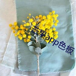 芒果app色板(bǎn)