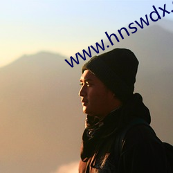 www.hnswdx.com （贤母良妻）