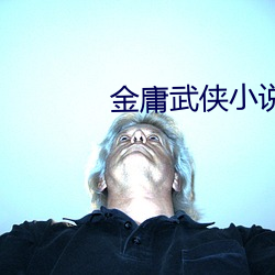 金庸武俠小說