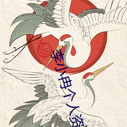 李小冉个人资料 （百星不如一月）