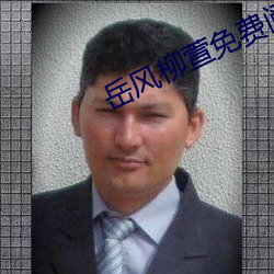 岳风柳萱免费阅读大结局 （官官相为）
