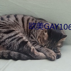 欧美GAY1069大粗吊