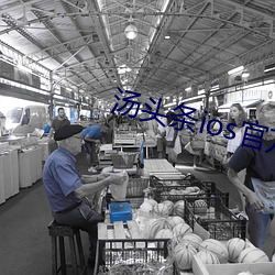 汤头条ios官方入(rù)口