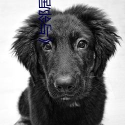 《与邻居换娶妻》3中字