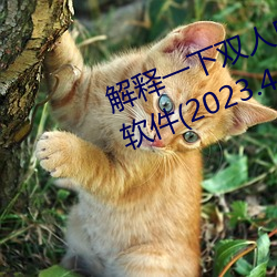 解釋一下雙人床上打撲克又痛又叫軟件(2023.4.5最新排名更