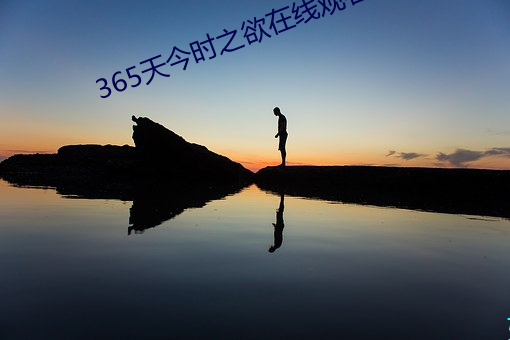 365天今时之欲在线观看百