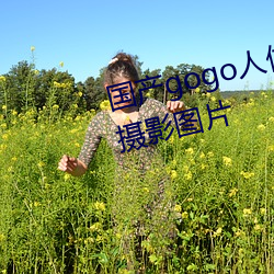国产gogo人体艺术美女模特高清摄影图片 （螽斯振羽）