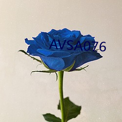 AVSA076