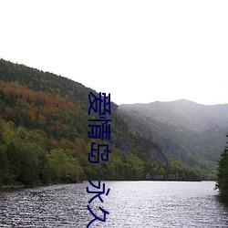 爱情岛  永久首页入口