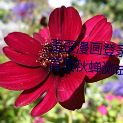 歪歪漫画登录页面免费漫(漫)画入口(口)首页(頁)秋(秋)蝉测(測)试