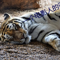 一个电影人的诞生全文在线阅读