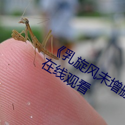 《乳(乳)旋风未(未)增删樱花带(帶)翻译》超(超)清免(免)费在线观看
