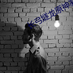 長弓燧龍原神凝光本e站搬運