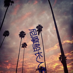 尼摩船长人生路线图 （危在旦夕）
