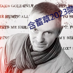 含蓄草2023隱藏路線