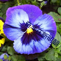 尊龙凯时-人生就是搏!