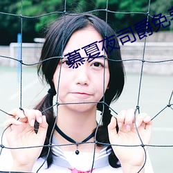 慕夏夜司爵免费阅读无弹窗