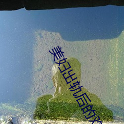 美妇出轨后的欢愉