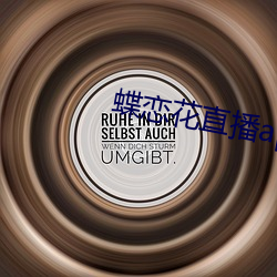 蝶恋花直播app软件 （旧事重提）