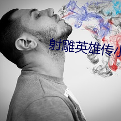 射雕英(英)雄传(傳)小说(說)