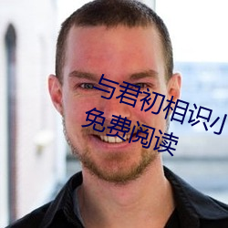 與君初相識小說沈茵茵叢文嘉全文免費閱讀