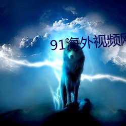 91海外视频网名