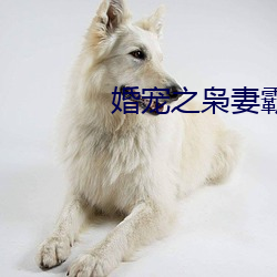 婚寵之枭妻霸愛