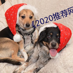 《2020推荐(薦)网(網)址