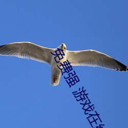 免费强 游戏在线下载